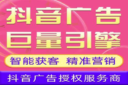 百度竞价广告投放全解析：成功案例揭秘